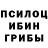 Галлюциногенные грибы GOLDEN TEACHER IGN: Hannibal_67