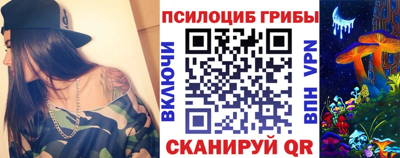 Галлюциногенные грибы Psilocybe  darknet какой сайт  Краснокаменск 